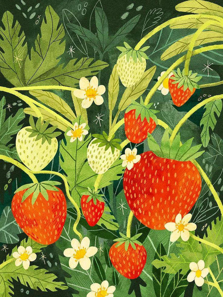 Nature's Palette: Vibrant Berry Assortment